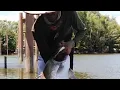 Download Lagu Tidak disangka di dalam sungai kecil ada monster barramundi 