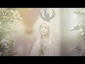 HOLY ROSARY AND DEVOTIONS WITH THE FRANCISCAN MISSIONARIES OF THE ETERNAL WORD - 2023-08-30