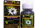Habbatussaua Habbasyifa Kapsul Minyak Asli Tempat Beli Harga Murah di Toko Herbal Muslim