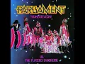 Flashlight-Parliament