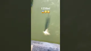 125lbs Stone Falls From Bridge With Massive Sound 