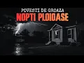 Lagu NU RĂMÂNE NICIODATĂ SINGUR ÎN TIMPUL FURTUNILOR – POVEȘTI DE GROAZĂ PE SUNET DE PLOAIE