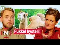 Download Lagu Kan Tore og Pernille finne ut hva som er galt? | Brille | TVNorge