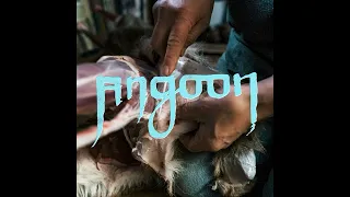 Portugal. The Man - Angoon