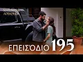 Ματωμένα Λουλούδια | Επεισόδιο 195 - Εκτεταμένη Έκδοση | Ελληνικοί Υπότιτλοι | Kan Cicekleri