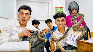 لما تجيب ثعبان 🐍 في لجنة الامتحان للمدرسة الشريره 🤡😂 | القيصر و السلسيلي