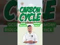 MEMORY TRICK How to memorise the Carbon Cycle