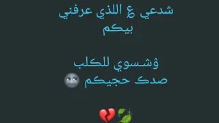شايل يوادع شايل حمل الضعاين مايل دندنها