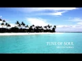 Download Lagu Tune of Soul - Digital World