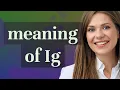 Ig meaning of Ig