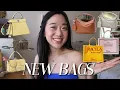 Download Lagu NEW BAGS ft. Loewe Mini Featherlight Puzzle, Fendi's Spy Bag \u0026 Dior Summer 2026 {ep. 25.5}