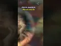 Download Lagu Pilih aku atau dia - Maya Angela