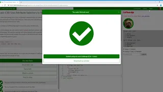 Basic CSS Use Attribute Selectors to Style Elements Learn