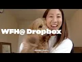 WFH Dropbox Life Inside Dropbox Dropbox
