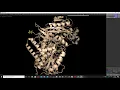 Pymol Tutorial - the basics