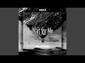 Download Lagu Wait for Me