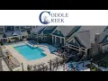 Coddle Creek Concord NC Apartments Greystar