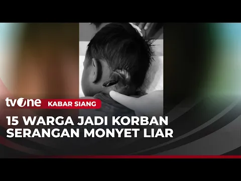 Korban Serangan Monyet Liar di Indragiri Hilir Bertambah