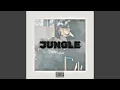 Download Lagu JUNGLE