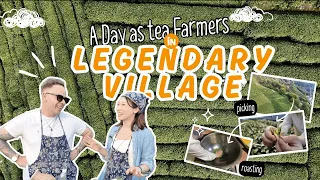 从茶叶到茶杯：走进中国最著名的龙井茶村