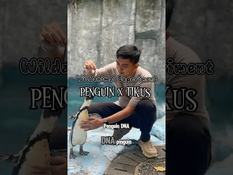 DNA tikus dan Penguin #wildanimalexperiment #fiksi #animal #science