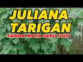 Lagu juliana tarigan | tanda mata sapu iluh (nostalgia lagu karo)