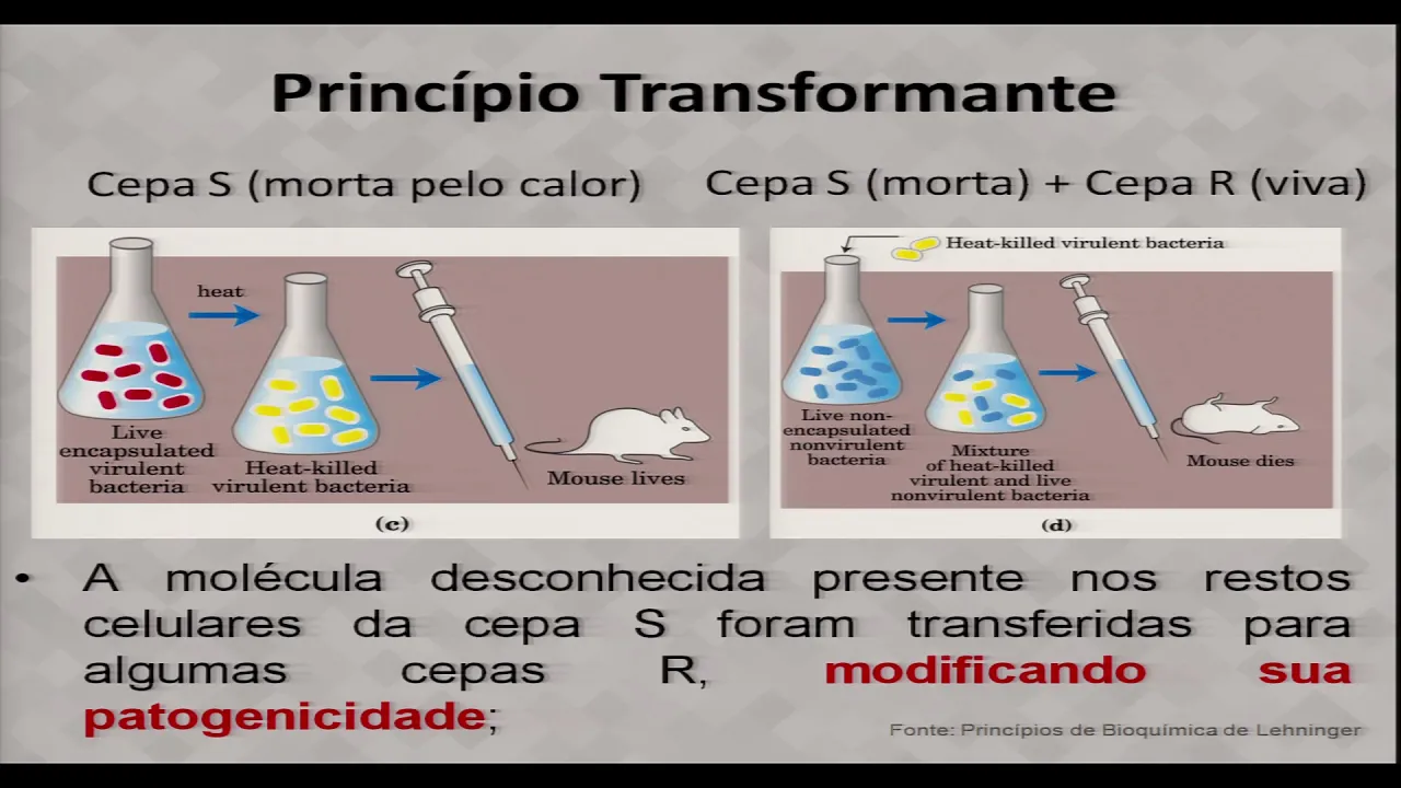 AULA 1 - BIOLOGIA MOLECULAR