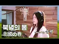 Lagu 북녘의 봄 (北國の春 Kitaguni no Haru) - 송랑 (Song Rang) | 원곡 센 마사오 (千昌夫 Sen Masao)