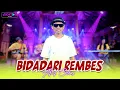 Arif Citenx - BIDADARI REMBES | Duh Gusti Ijolilah Sing Ayu Lan Sampun SNI