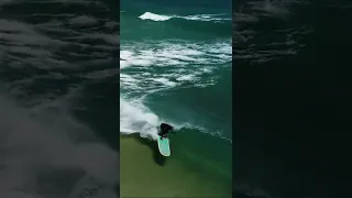 TARANTULA ON A SURFBOARD 😳🌊🏄‍♀️ #shorts