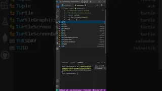 Create A Turtle Screen In Python Python Programming Project Python Tutorial