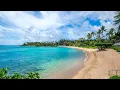 Napili Kai Beach Resort Live Cam Maui Beach Cam