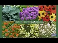 New Money-Saving Gardens