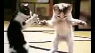 اديني رمضان هههه مصخرت السنين وريحه لبويه مش رجعاله 