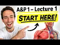 Anatomy Physiology 1 - Lecture 1 Homeostasis Levels of Organization Core Concepts