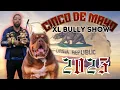 We Hit the Biggest XL Bully Event of 2025