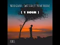 Weird Genius - Sweet Scar (ft. Prince Husein) ( 1 HOUR )