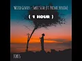 Download Lagu Weird Genius - Sweet Scar (ft. Prince Husein) ( 1 HOUR )