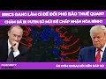 Download Lagu BRICS đang làm gì đế đối phó bão thuế quan? Chăm đã bị Putin \