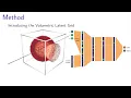 Fast Neural Representations for Direct Volume Rendering