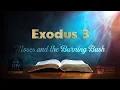 The Book of Exodus Chapter 3 Moses and the Burning Bush NIV Bible