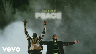 Nico & Vinz - Peace (Visualizer)