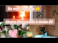 Download Lagu Deco Vlog at Cost $0 only LOVE 💖/ The storm blew my hat off 🫣#villarrica #decoration