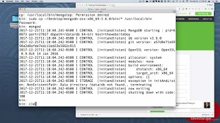 Installing MongoDB in a MAC Database - How to use MongoDB Node JS