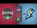 Westfield MA at Nashua NH Futures League Baseball 26