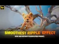 Smoothest ripple effect Free Preset after effects