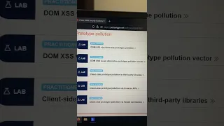 Prototype Pollution labs on portswigger