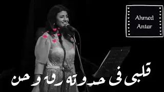 كان ياما كان قلبى ف حدوته رق وحن حالات واتس اب رومانسية وجميلة جدا 2019 Ahmed Antar  كان ياما كان قلبى ف حدوته رق وحن حالات واتس اب رومانسية وجميلة جدا 2019 Ahmed Antar