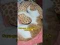 Download Lagu MUSIK PENGANTAR TIDUR KUCING         #shorts  #kucinglucu