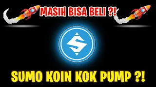 Download HARGA SUMO KOIN KOK NAIK 200 %  MASIH BISA NAIK  MP3